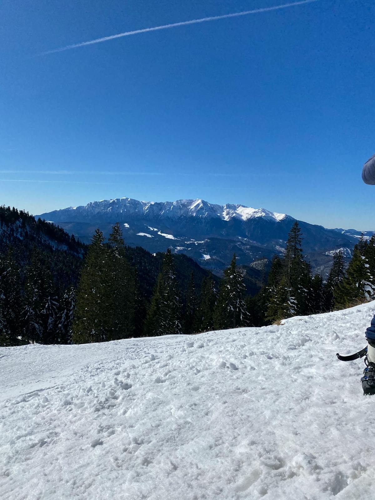 ¿Qué onda con Claudia Sheinbaum? Esto dijo Trump y podría ...