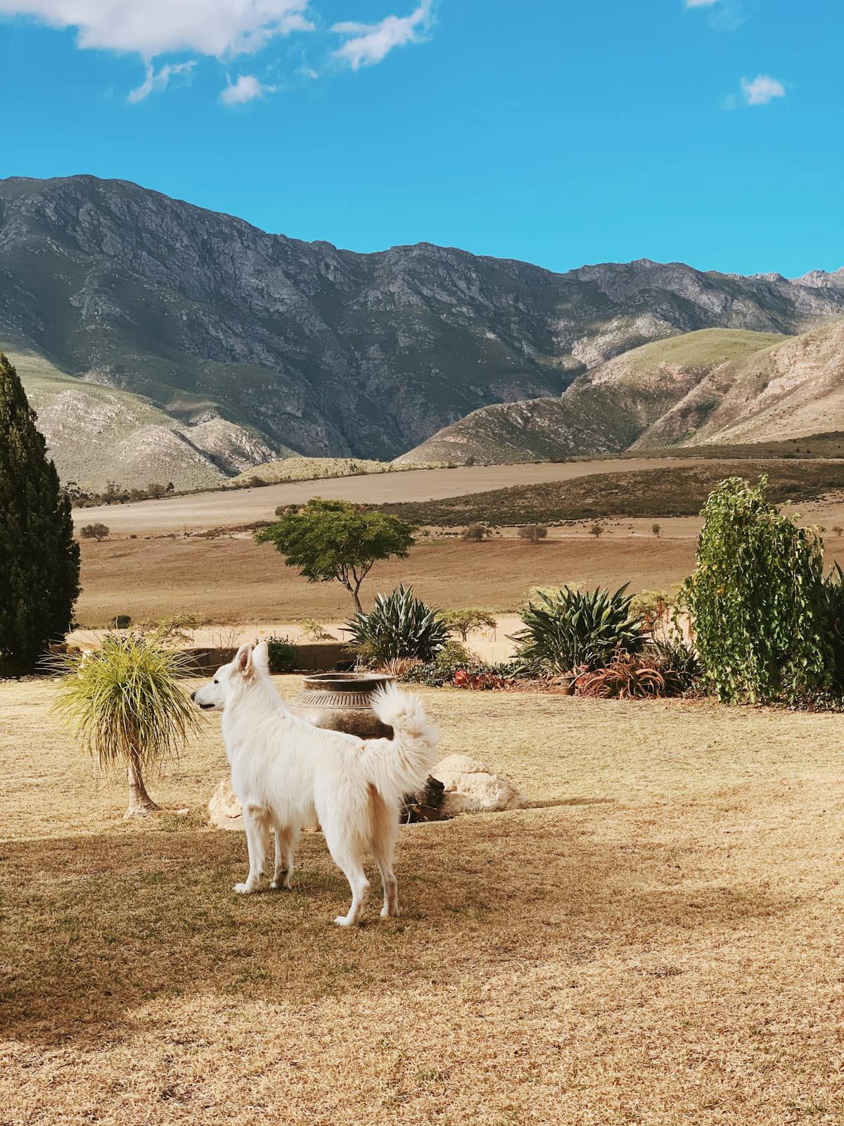 Heraclitus River de Ciberseguridad: ¿Muestras o Mientes? 🚩