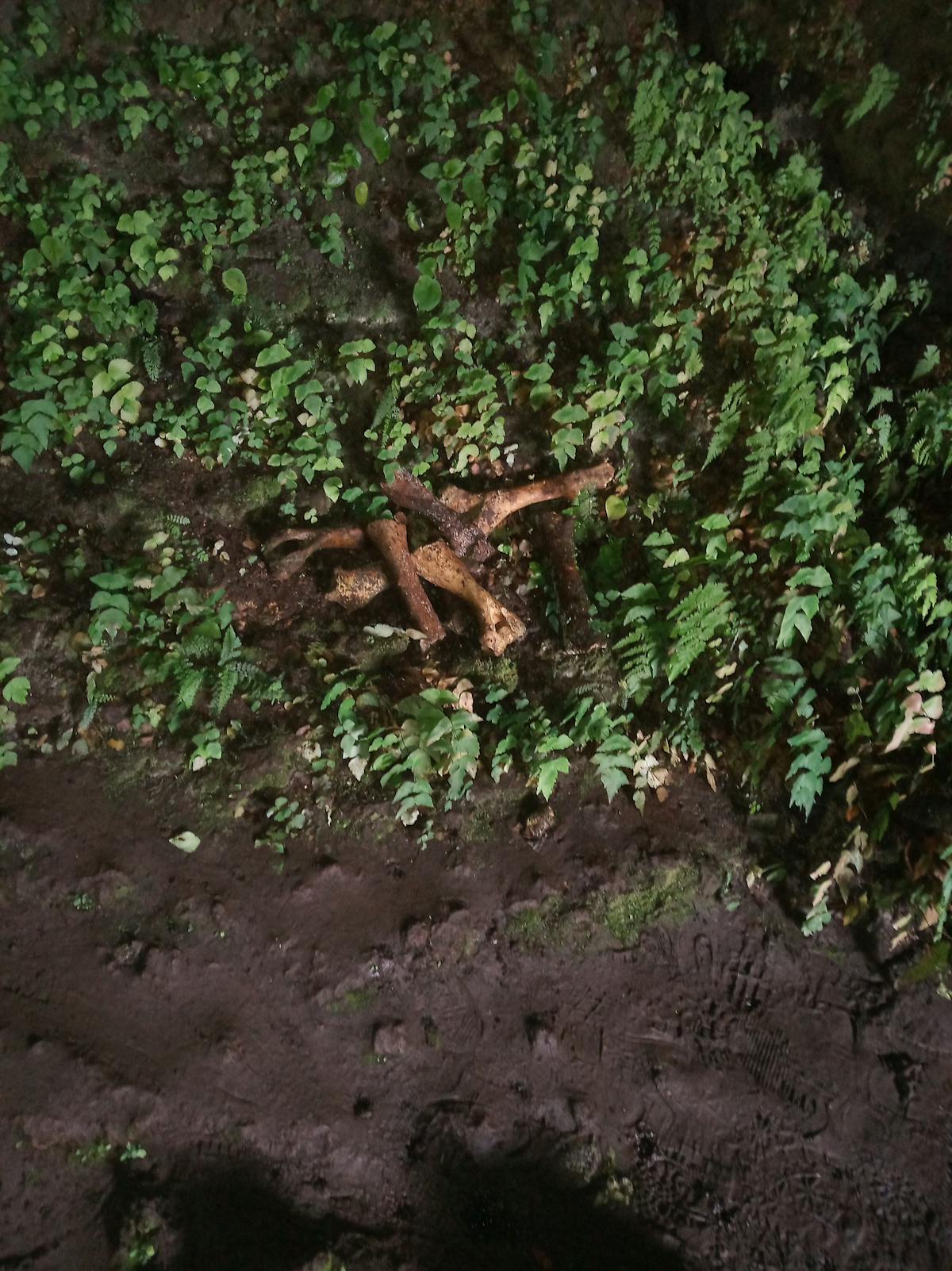 😩 ¿Cómo Sabes Si Tu Centro de Idiomas No Está Cachando Tus...