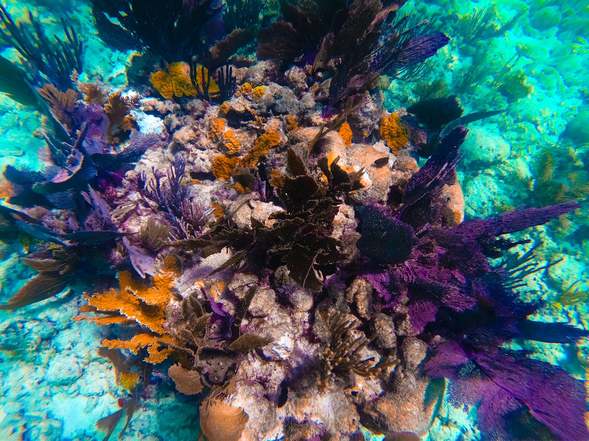 ¿Tu Ex Tiene tus Datos? 🤡 (Puedes agregar el texto d...