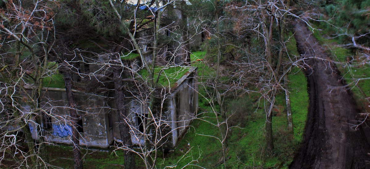 ¿Gobierno Transparente o Solo Finge? 🚩 Libro de Secretos al ...