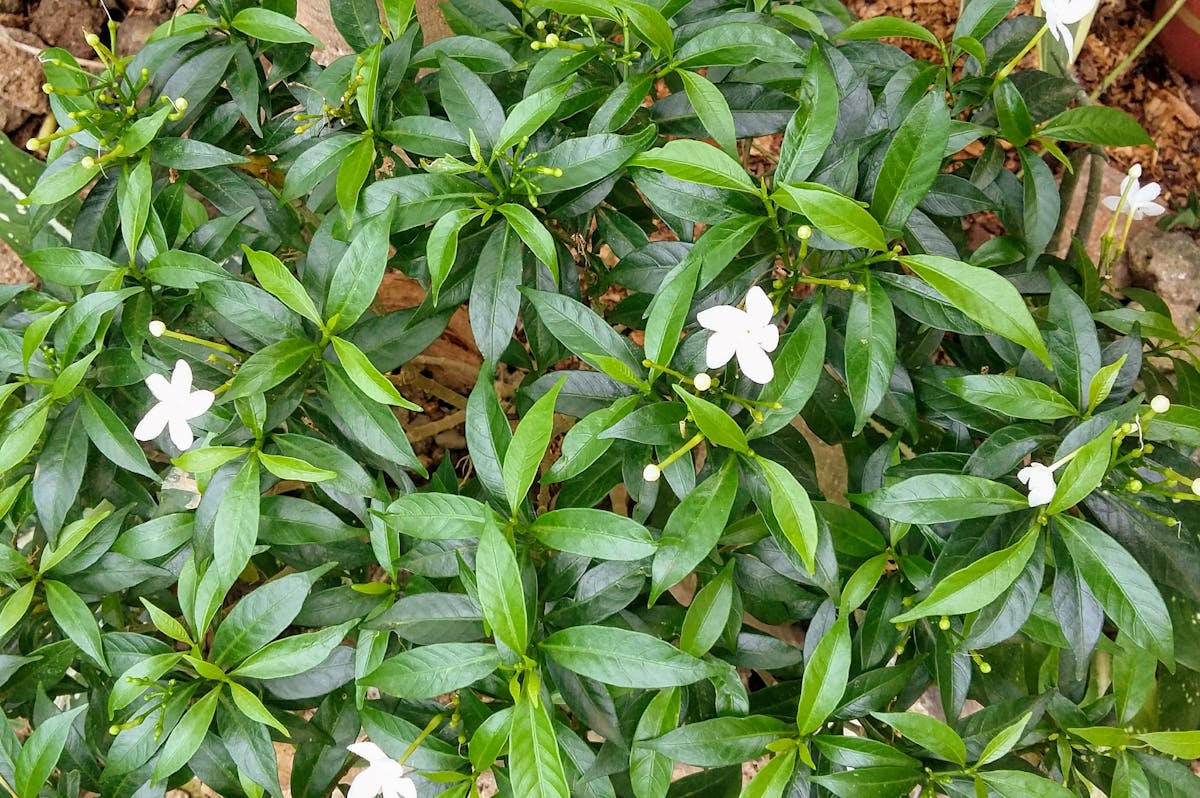 ¿Tu Perfil de Instagram es Seguro o Solo Finge Con Ciberse...