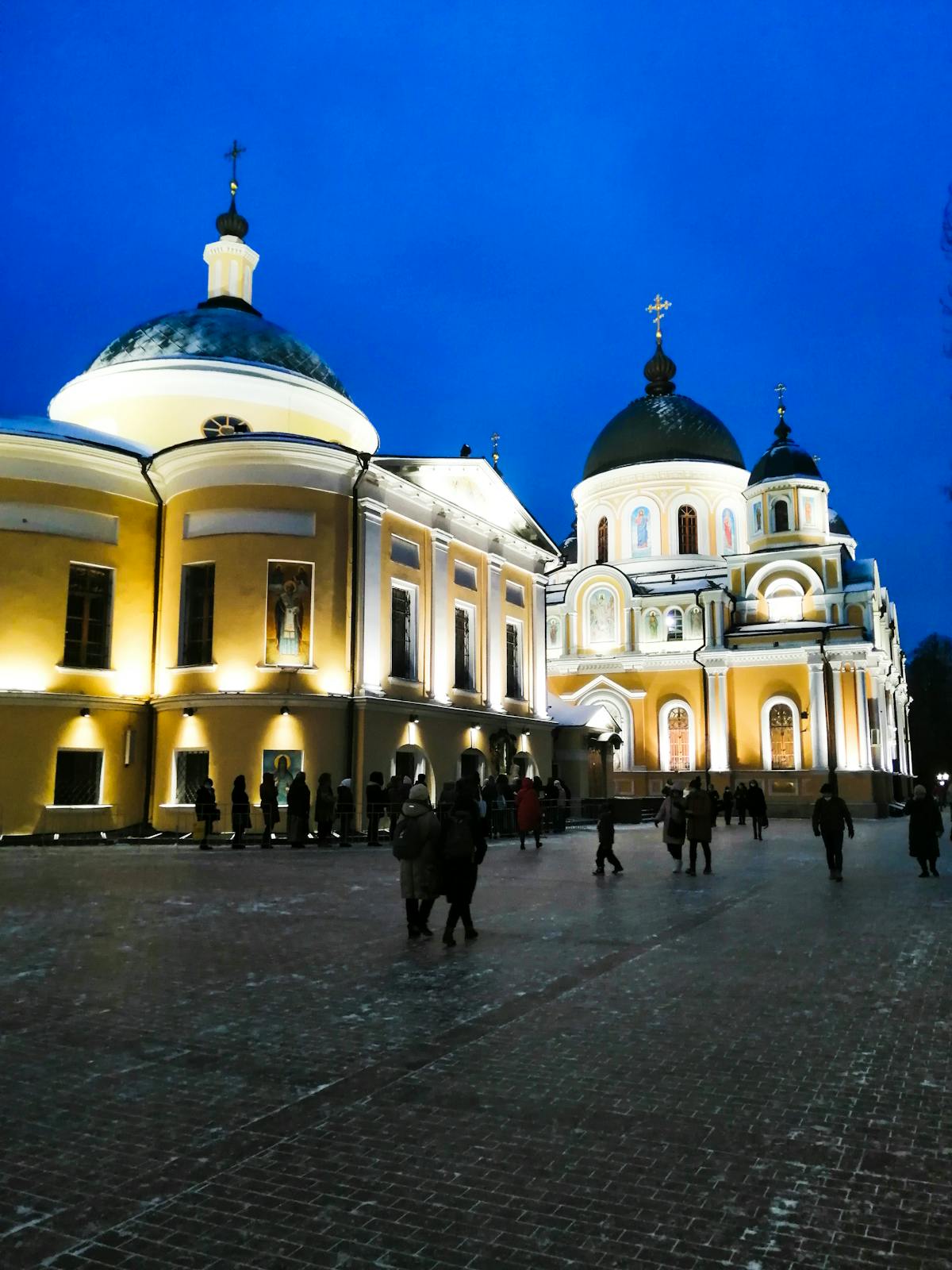 ¿Se Pasaron tus Expertos de la Rama? 🔥