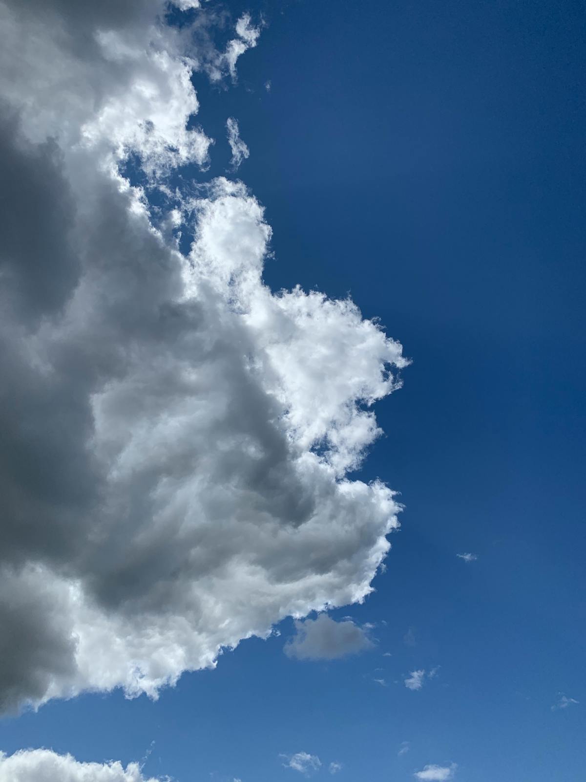 🚩 ¿Puedes hacer que el Valencia CF sea un gigante europeo en F...