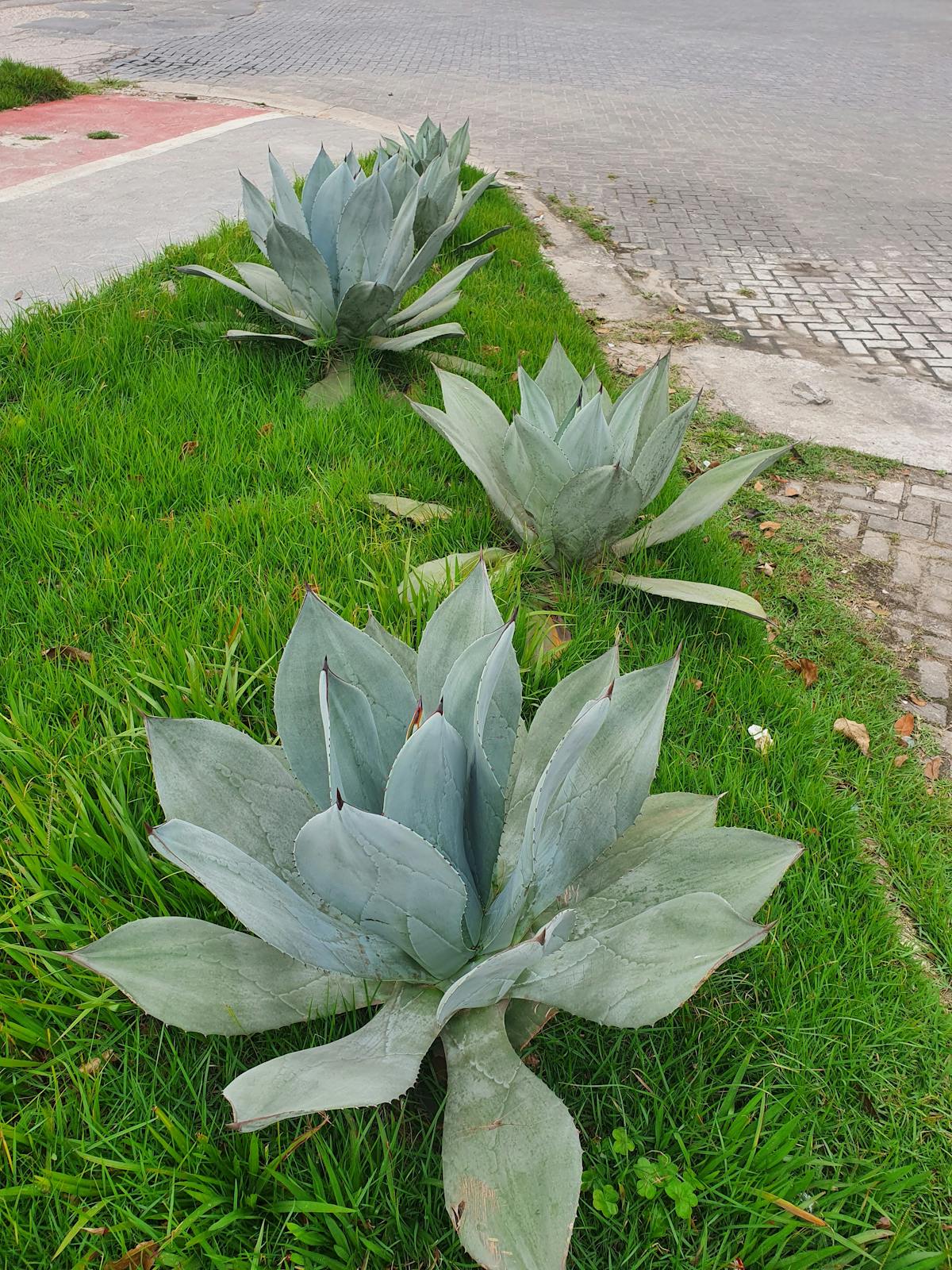 Greg Greeley se va a Amazon, ¿y tú qué haces con tu carrer...