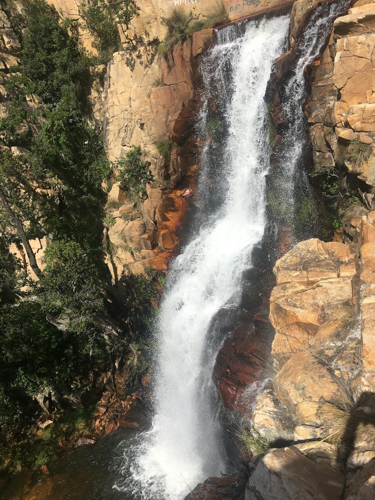 ¿Alpine se Metió en el Circuito de la Ciberataque?