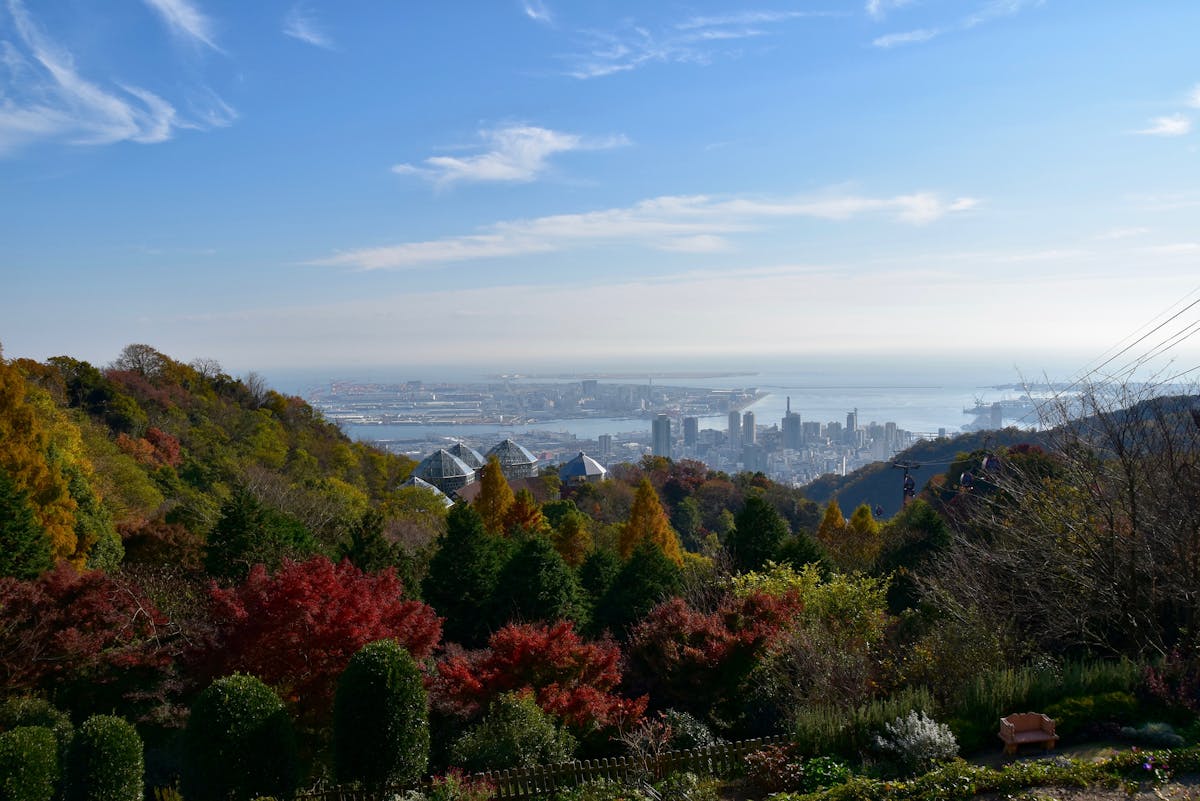 Estrenos del Miércoles que Te Harán Preguntar: ¿Cuánto Din...