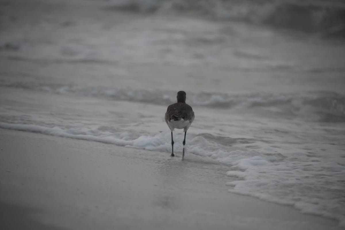 🚨 ¿Cuántas mujeres se necesitan para que la ingeniería dej...