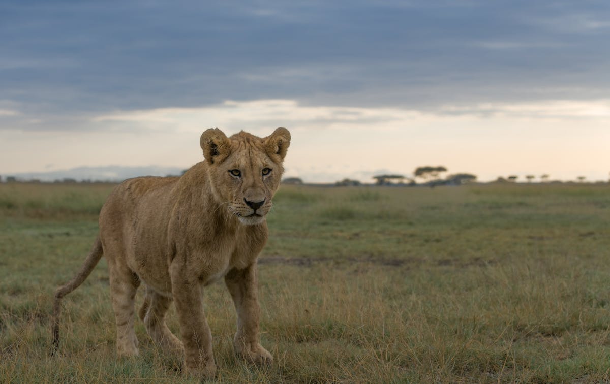 ¿En Colombia, el efectivo es el nuevo Tinder? 🤑 50% de pagos e...