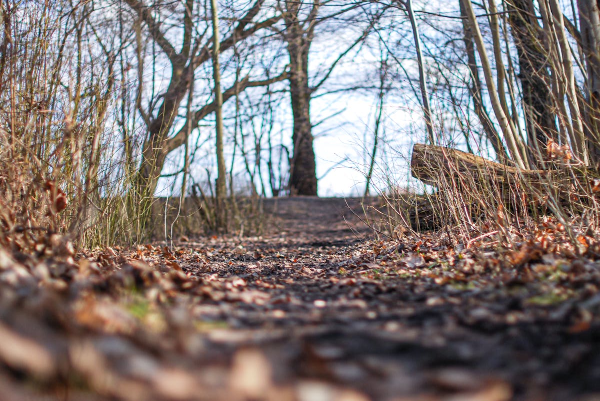 ¿EEUU se salva o se queda en el estante?: La demanda de <b...