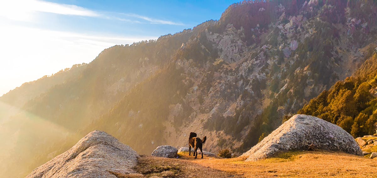 ¿Eventos con Arte o Tragaperras?