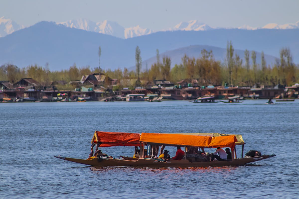¿Sisu Finlandia o Miedo Verdadero? 🤯