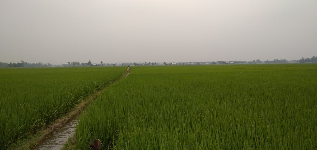 ¿A 37 años y sin antecedentes, ¿ya tienes cáncer de panoch...