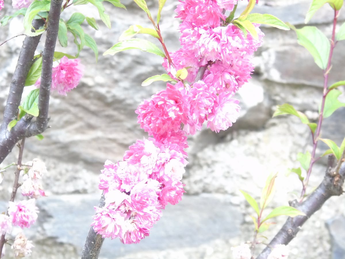 ¿Quién Verifica a Quién Verifica? 🚩 (Nota: Este título cu...