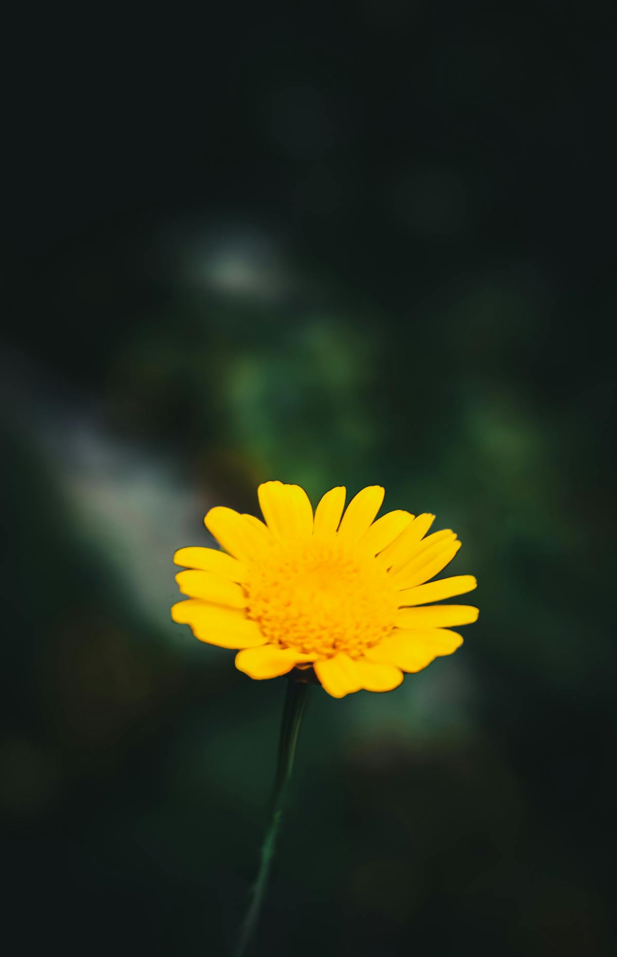 ¿Parquímetros con App? ¡Esto es el comienzo del fin de la ...