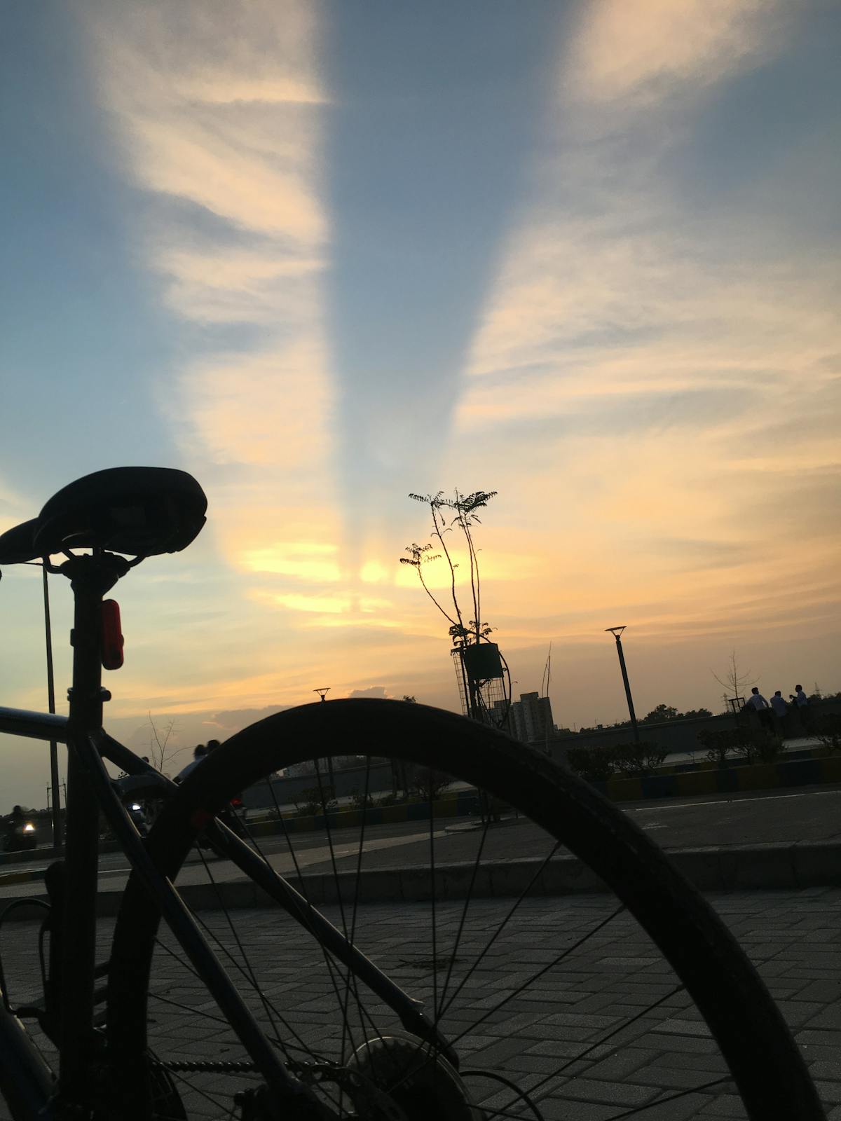 Esto es oro: ¿Louis Agassiz By John Adams Whipple.Jpg es u...