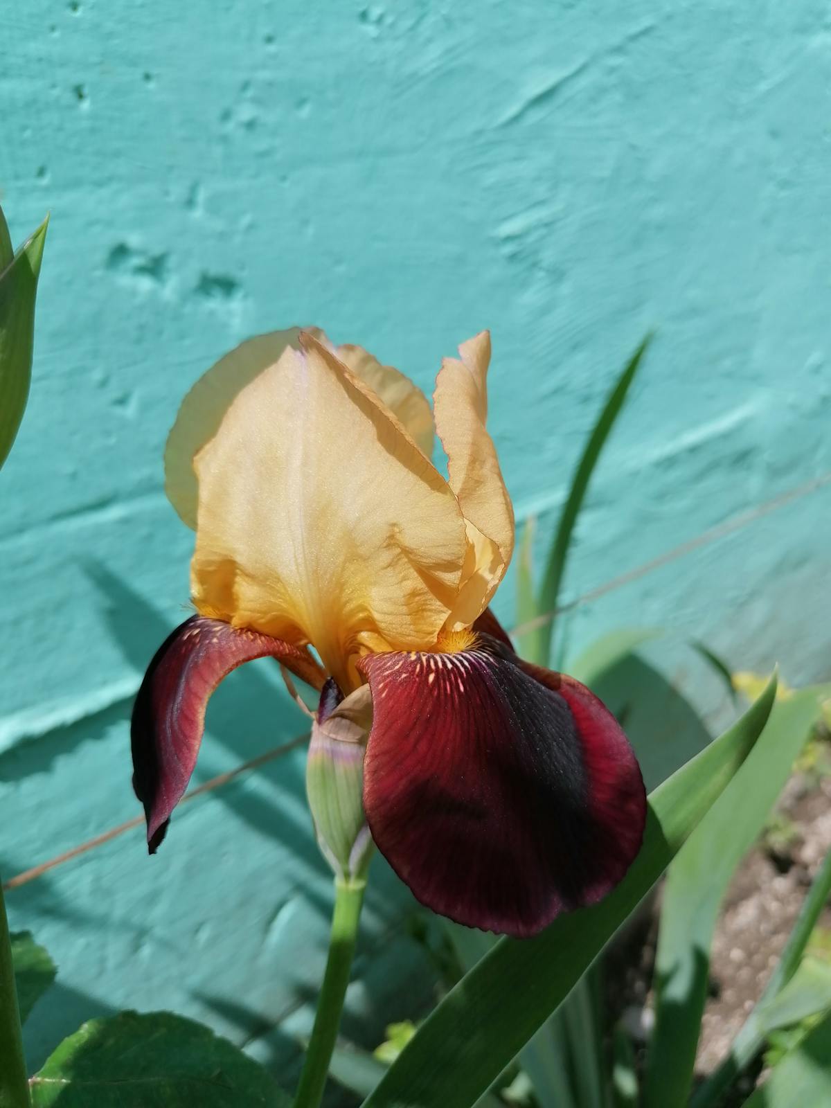 Recovery Bucket.jpg: ¿Alguien te Dijo que no Importa si se P...