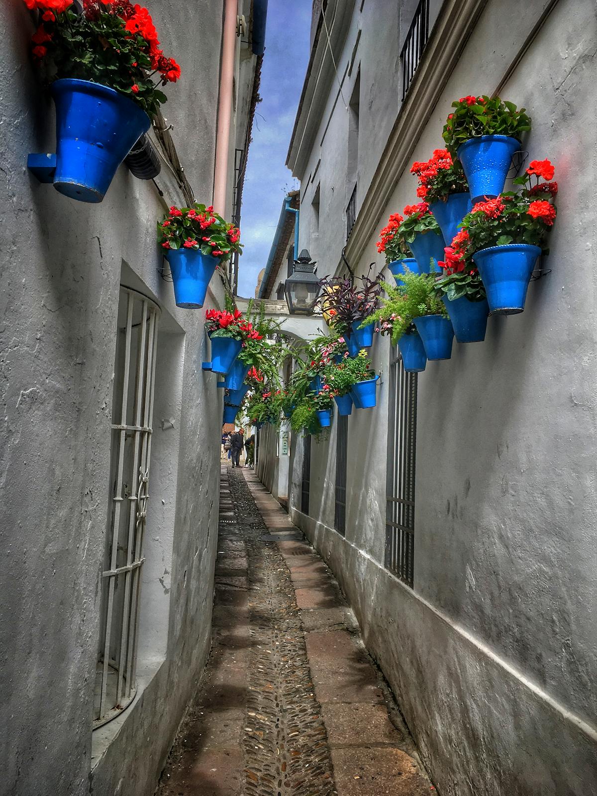 ¿Crees que la Personalización es solo para TikTok o es un ...