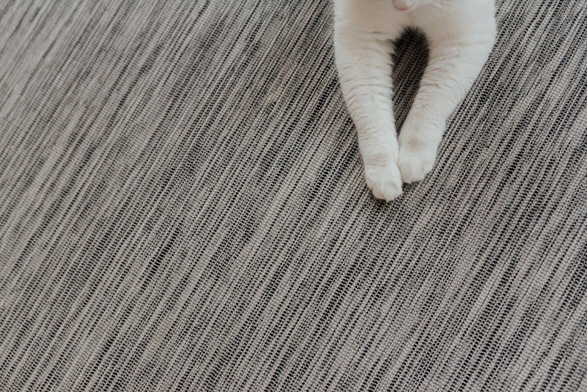 ¿Cuántas Mentiras Dices Al Día? 8 Verdades Científicas que...