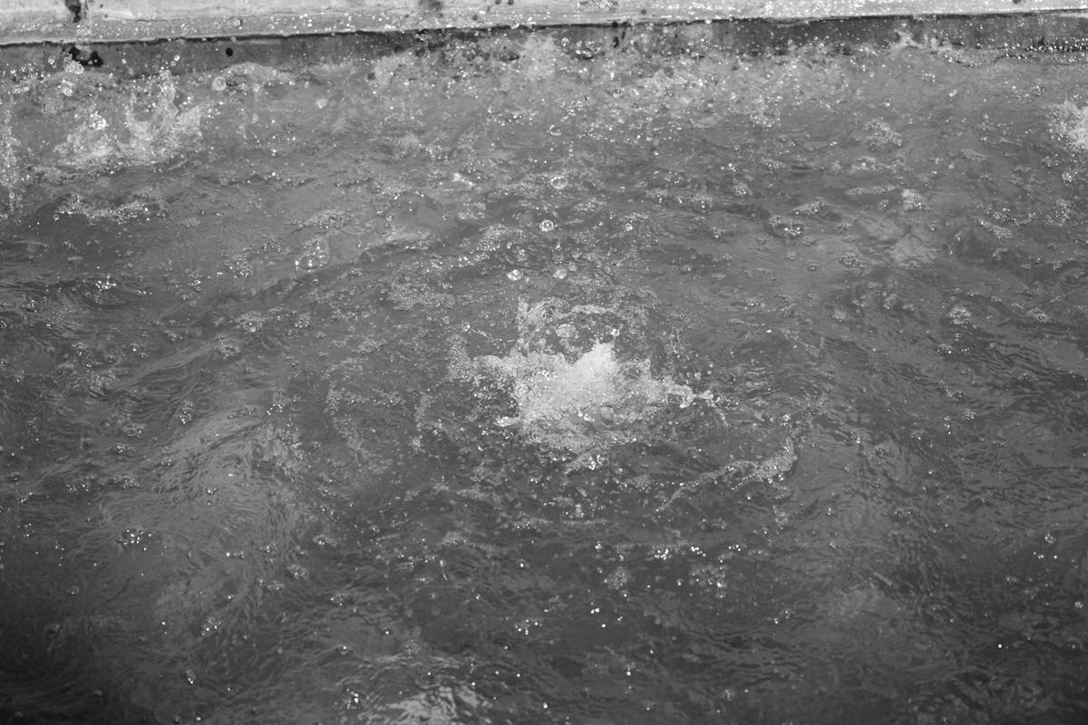 ¿Ghost of Yotei es el Juego que Va a Robar la Fama de The ...