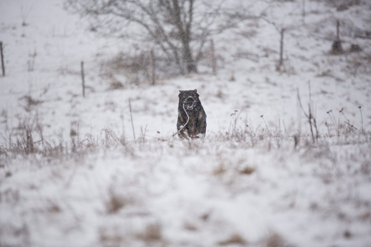 ¿Un Guante de Oro no es solo un gesto? Andrés Gimé...