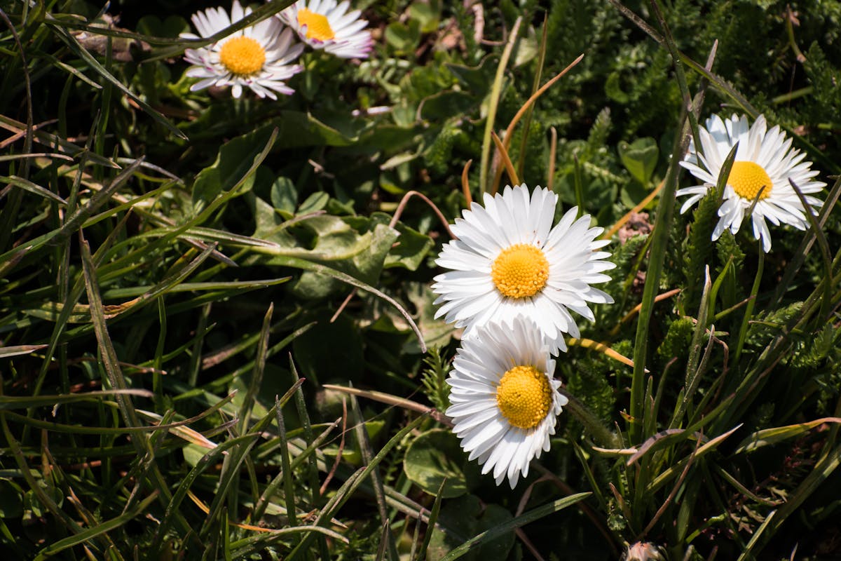 Hype o Realidad: ¿Cómo Usar un Diario de Entrenamiento sin Que...
