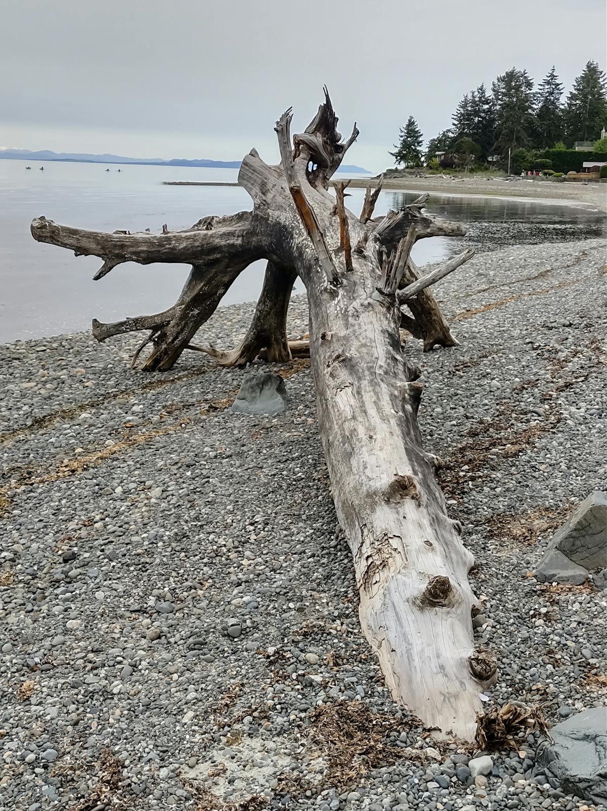 ¿Tú Productividad es solo Frontera o hay un Punto de Infle...