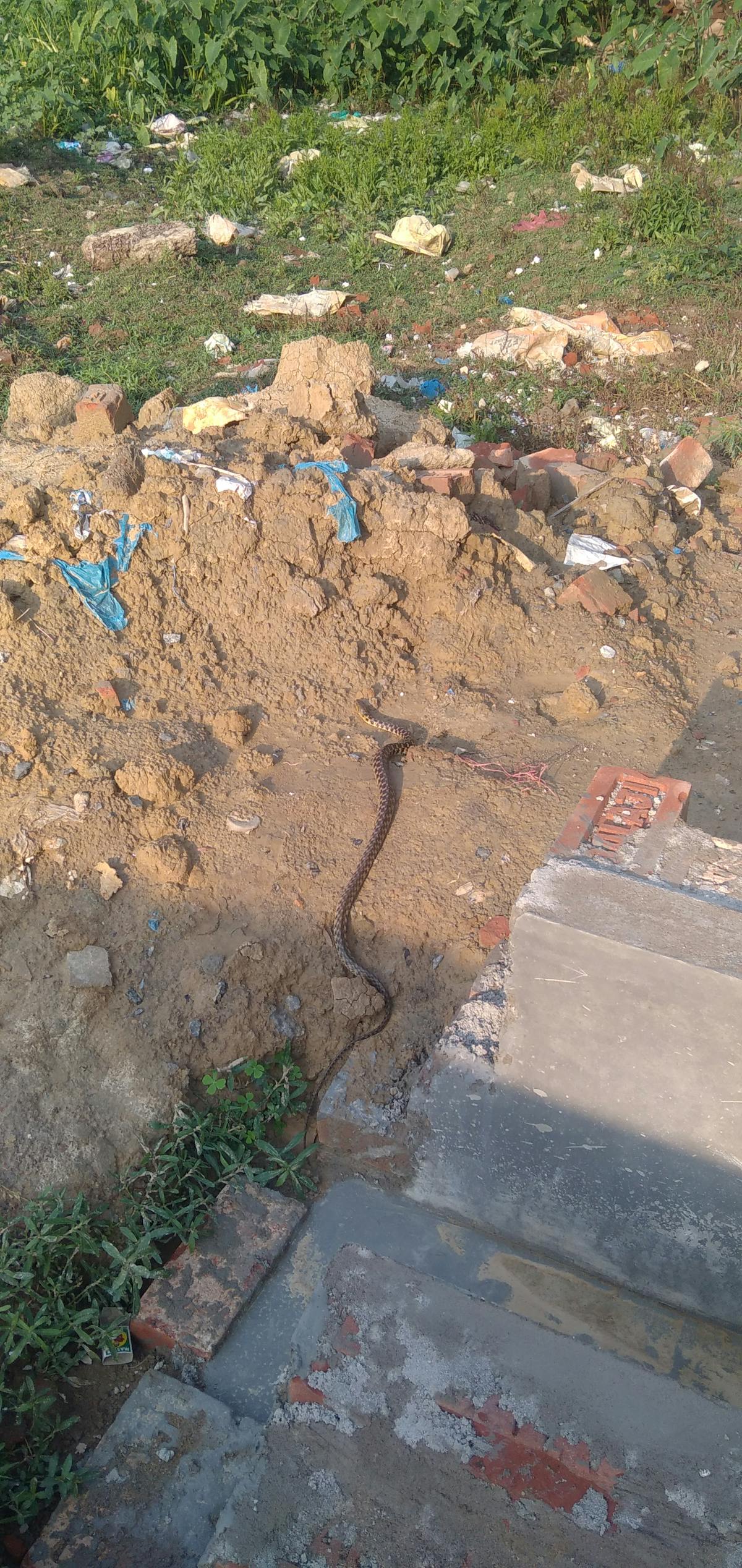 ¿Clara Brugada Molina Se Despidió de la Jefa o Es Solo un ...