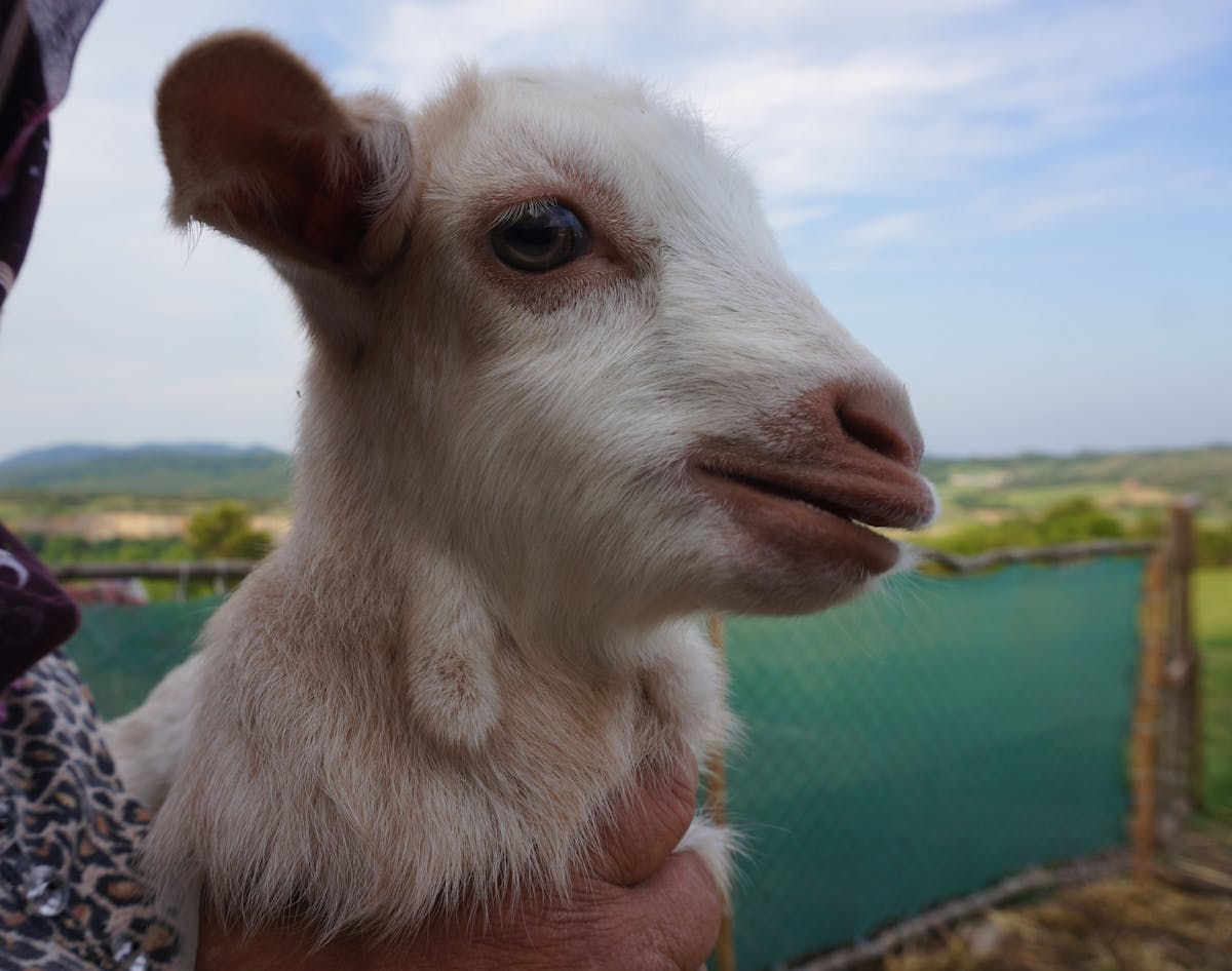 ¿Tú Cuenta de Cloud Se Está Volviendo Tu Ex?