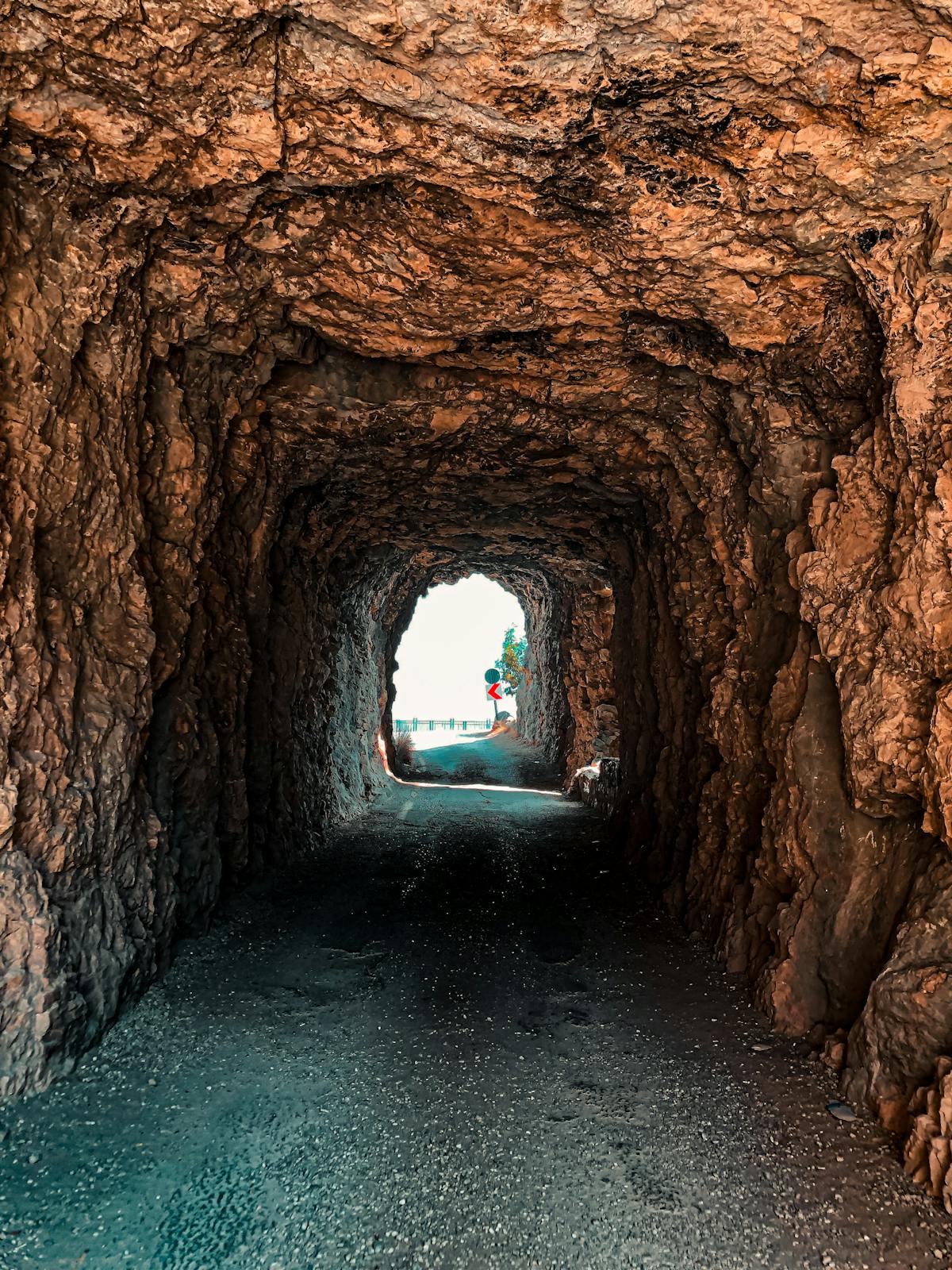 Genética no es gratis, ¿o sí? 🤡 (puedes empezar a es...