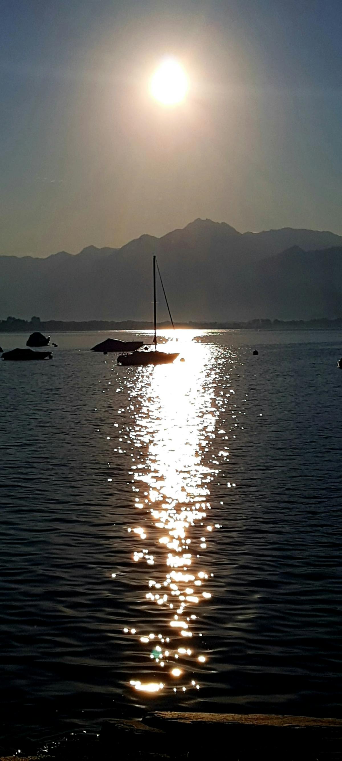 ¿Taján Habla de Cleopatra VII, ¿Es el Próximo Best Seller ...