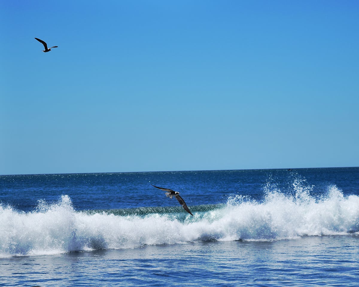 No te pases de la raya: ¿Podrían revivir a los muertos con int...