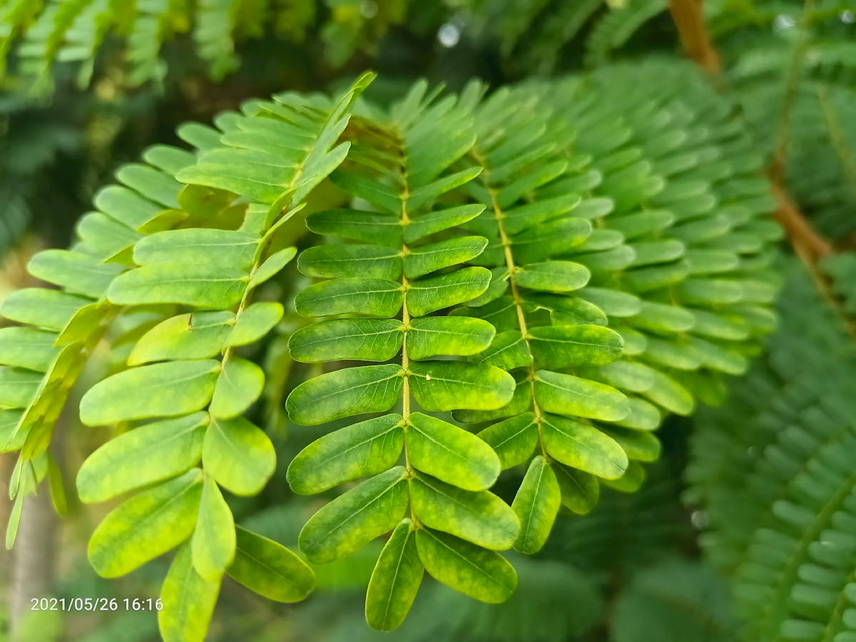 ¿Tu Teléfono Tiene Caso o Solo Lo Llevas Con Tu Ex?