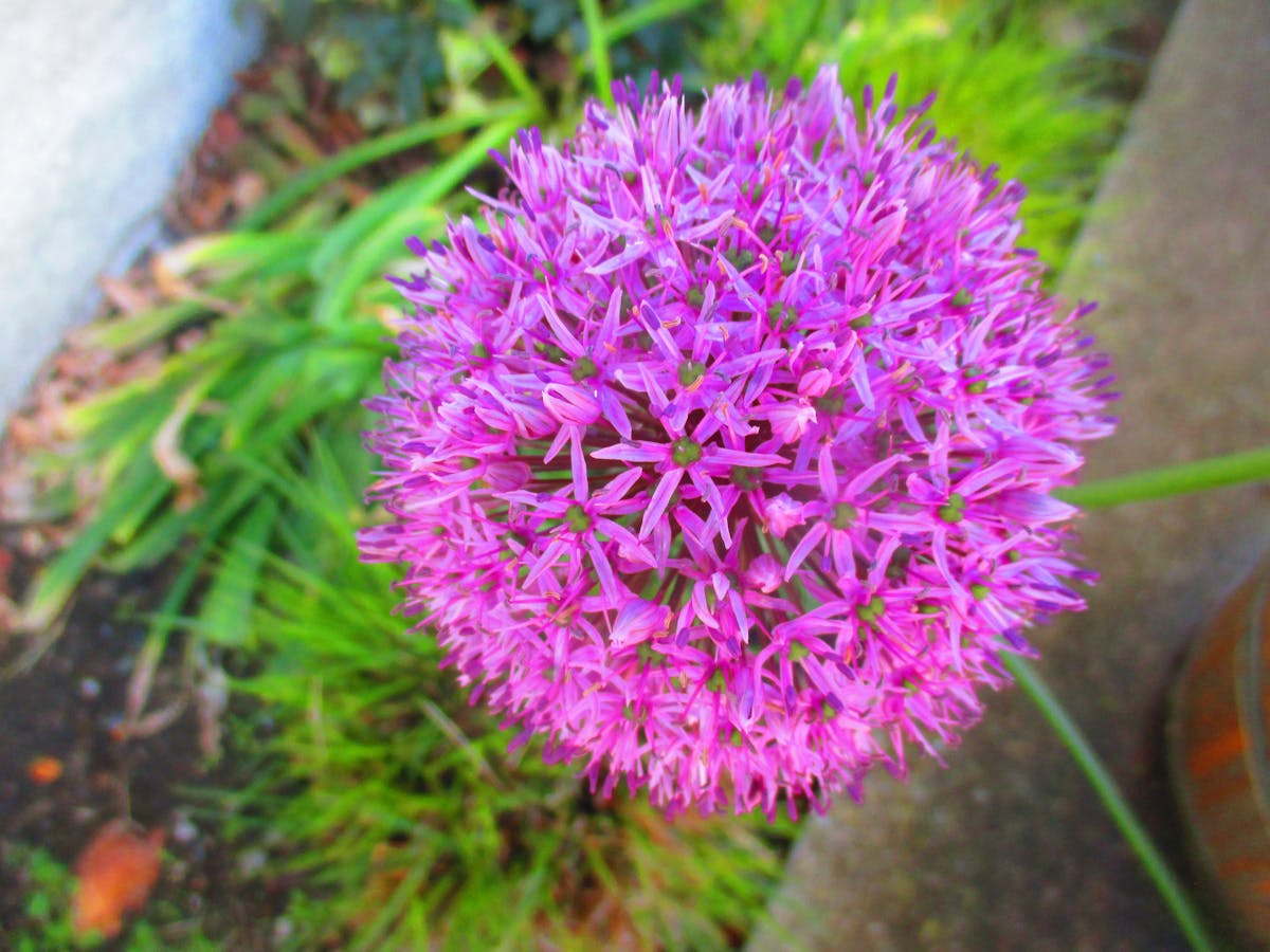 ¿Ethereum Ya Se Censorió o Solo Finge?