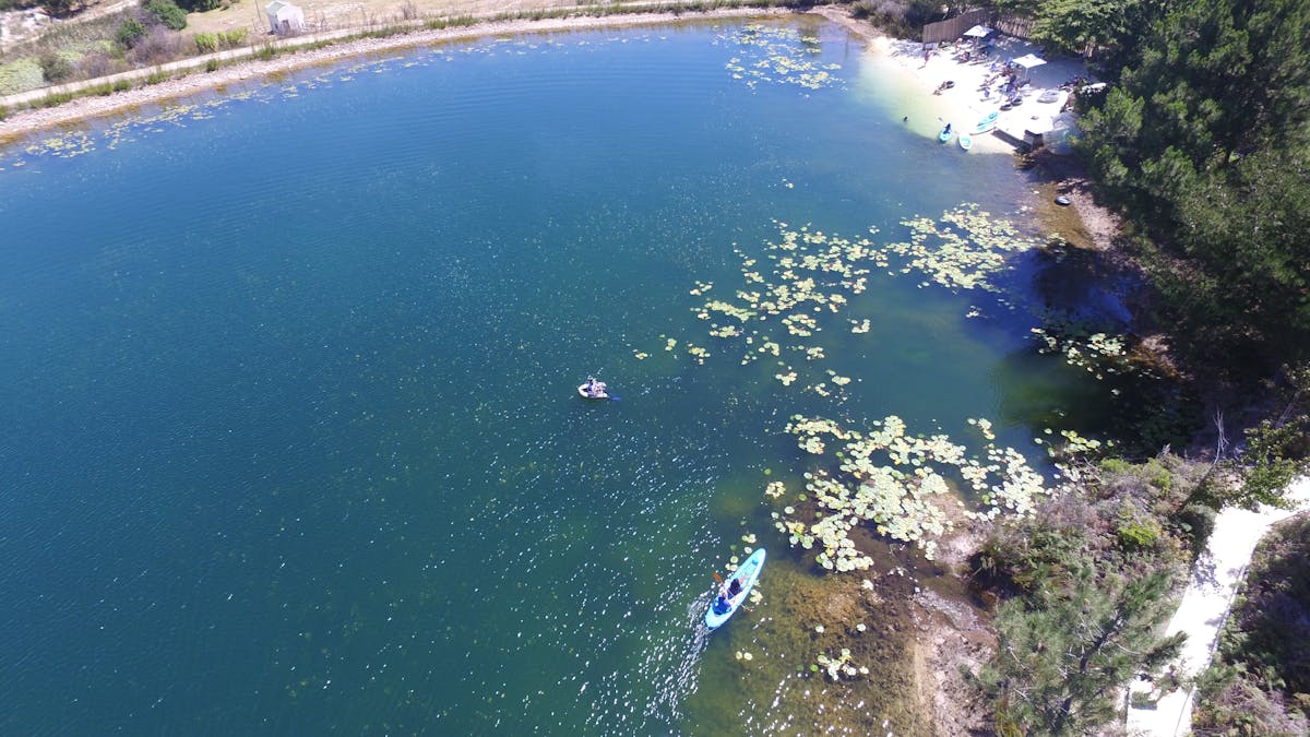 ¿La Analítica Aumentada es la Nueva Espía de Tu Empresa?