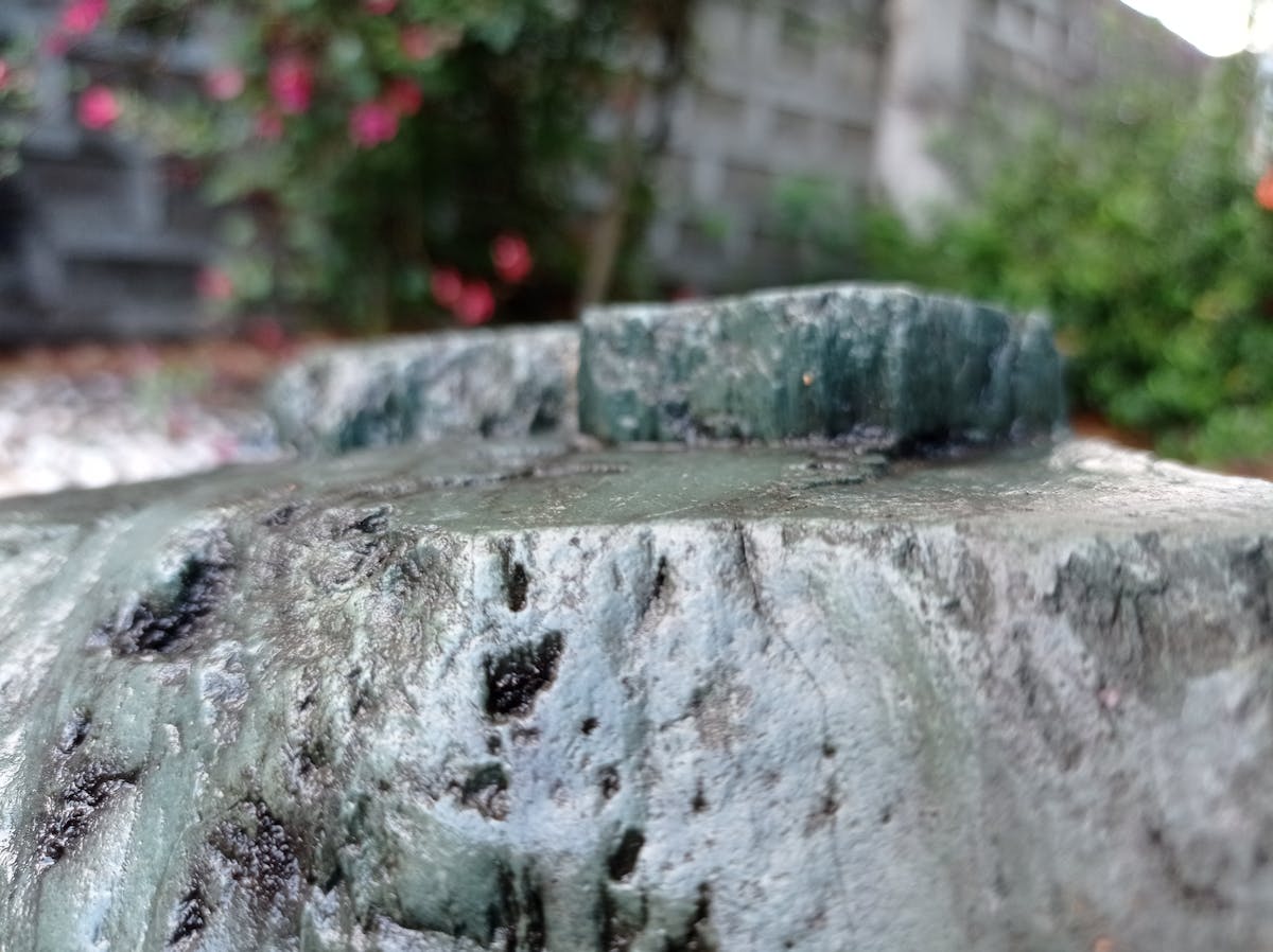 ¿Cómo un Hinchas de Marca90 se convirtió en el fotógrafo m...