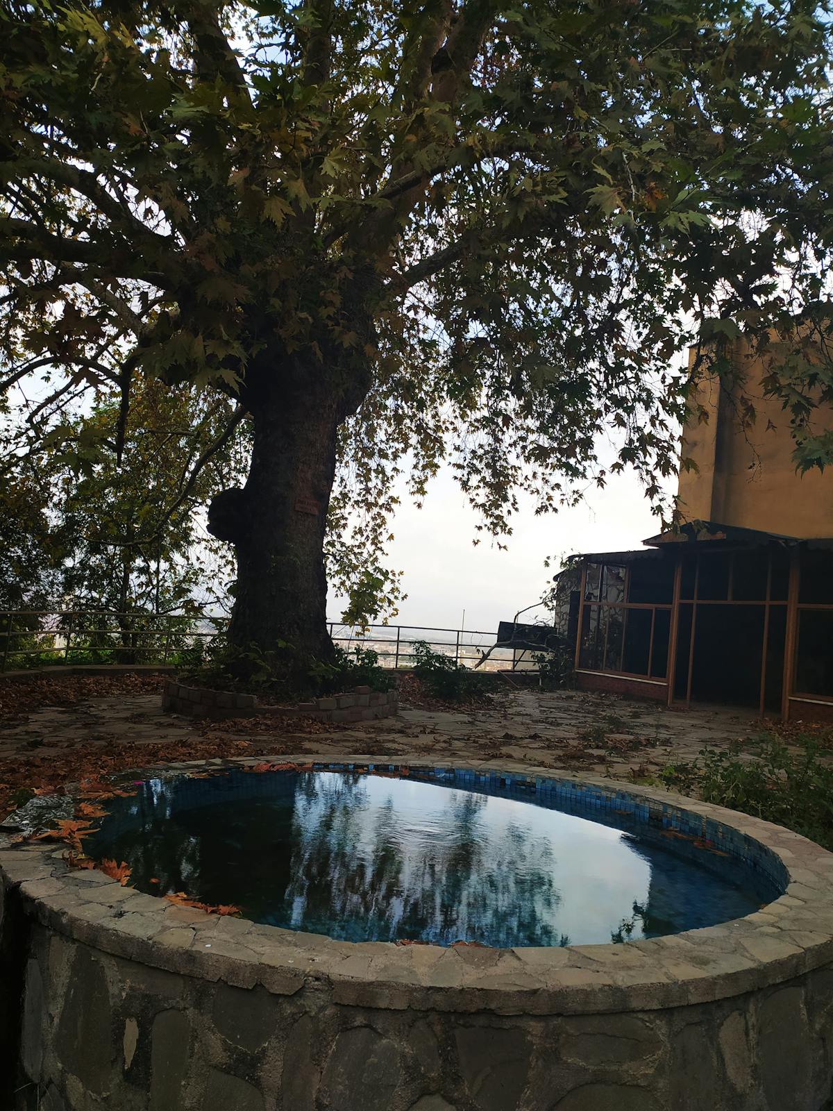 ¿Vas a llegar a tiempo a la marcha de las mujeres si no te...