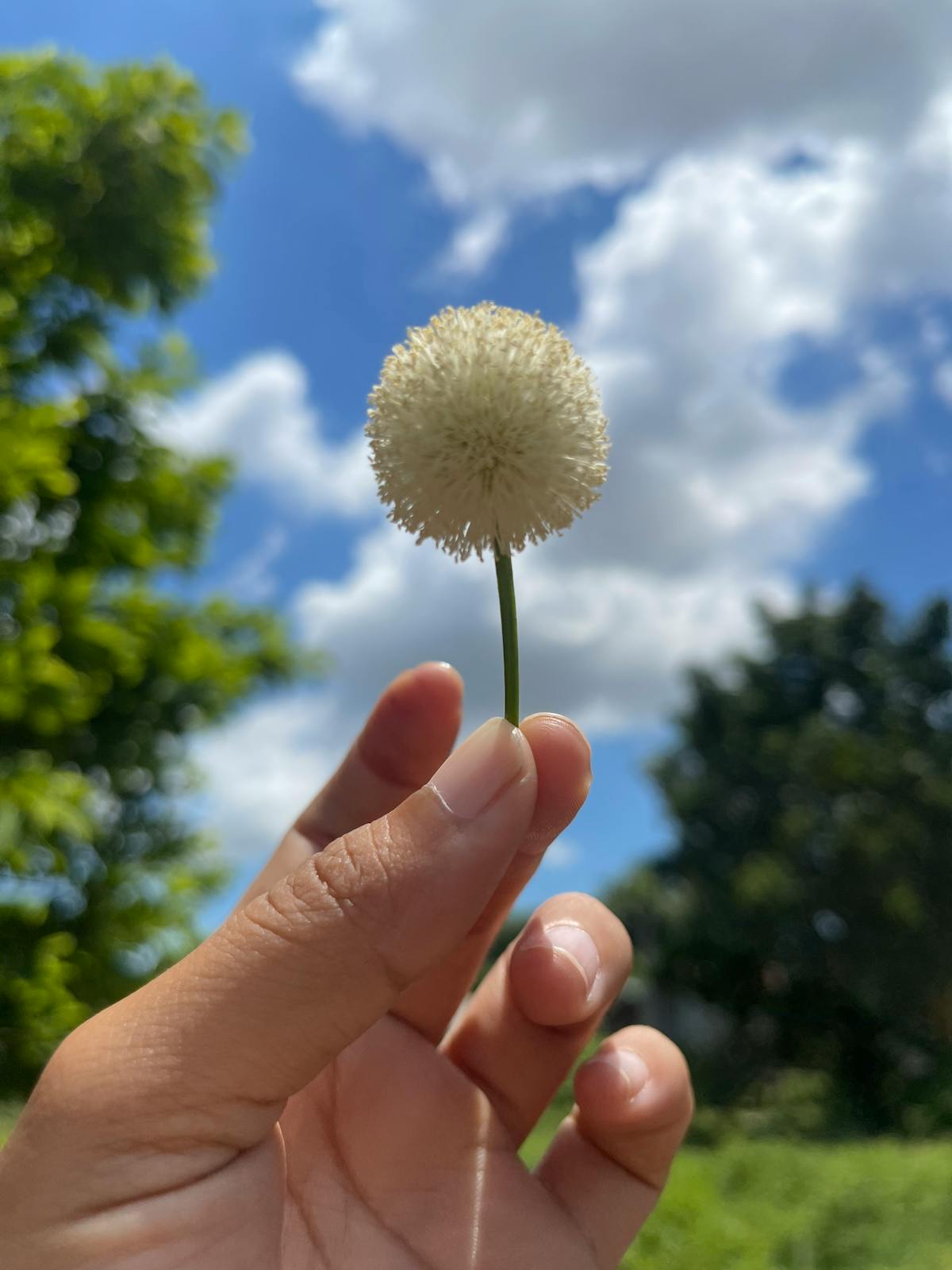 🚩 ¿La Nube Es Segura o Solo Almacenas Tus Memorias de la Infan...