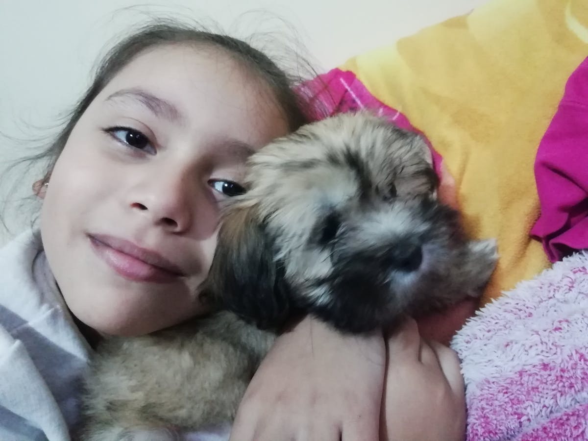 Esto es oro: ¿Cómo no usar el transporte público en Estéreo ...