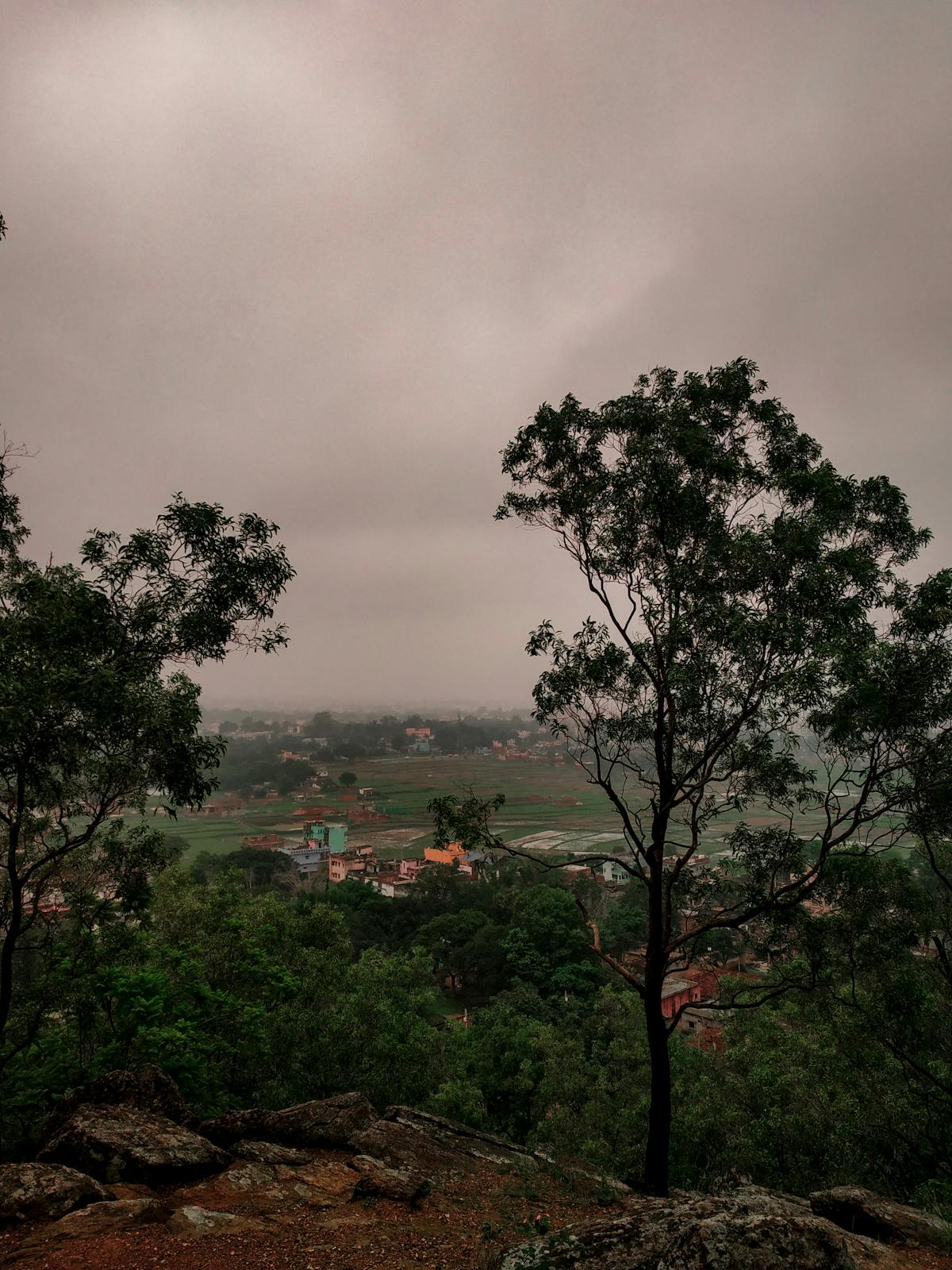 No te pases de la fecha: ¿Flybondi te va a dejar en el aire? 🤡