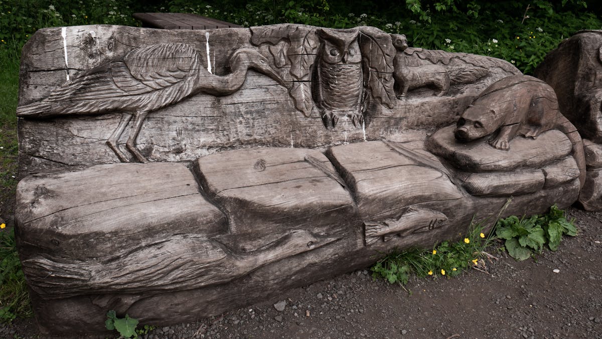 ¿Las Mujeres de Zapopan Son los Héroes que Fingen t...