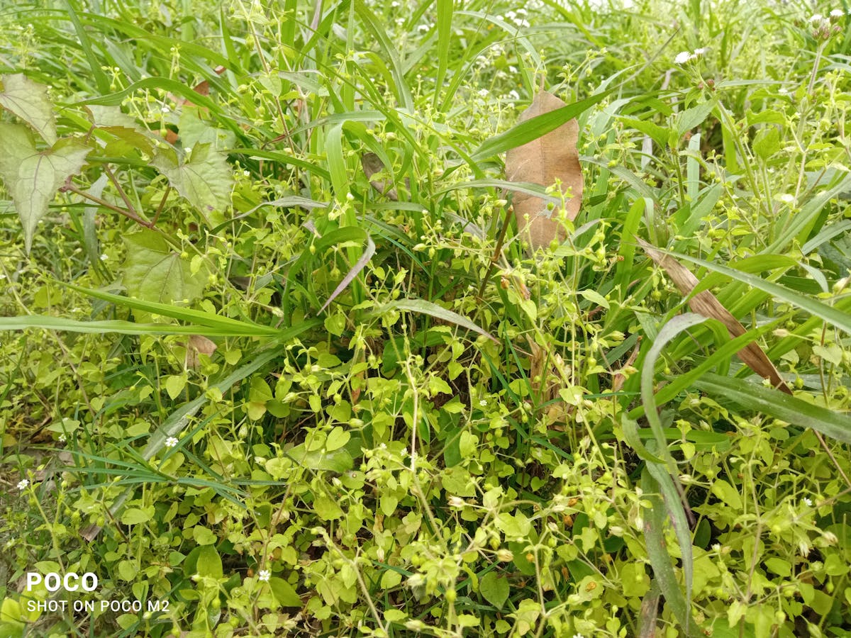 ¿Tu Negocio Tiene Foco o Solo Está Perdiendo el Control?