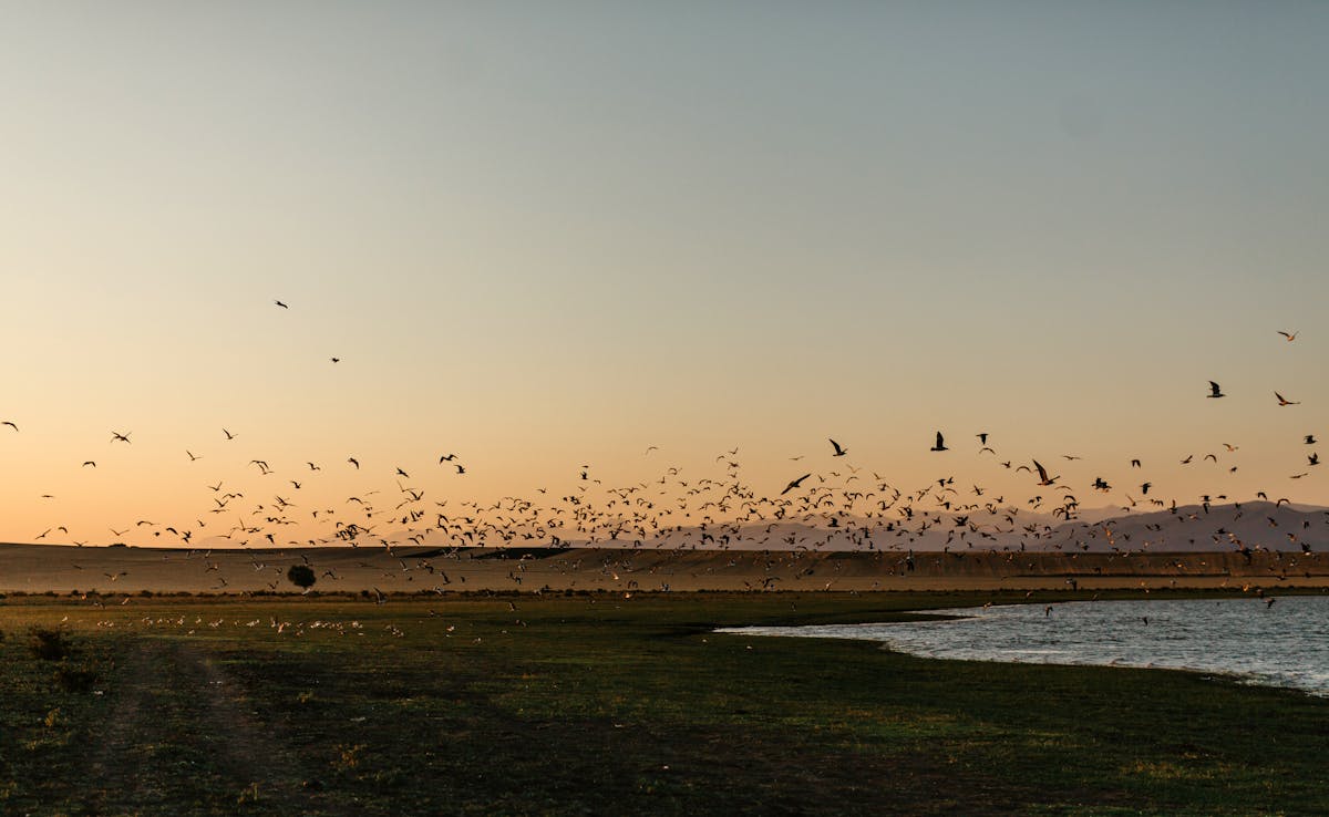 ¿Al chile? Detienen a líder de tráfico humano en Jalisco, ¿y...