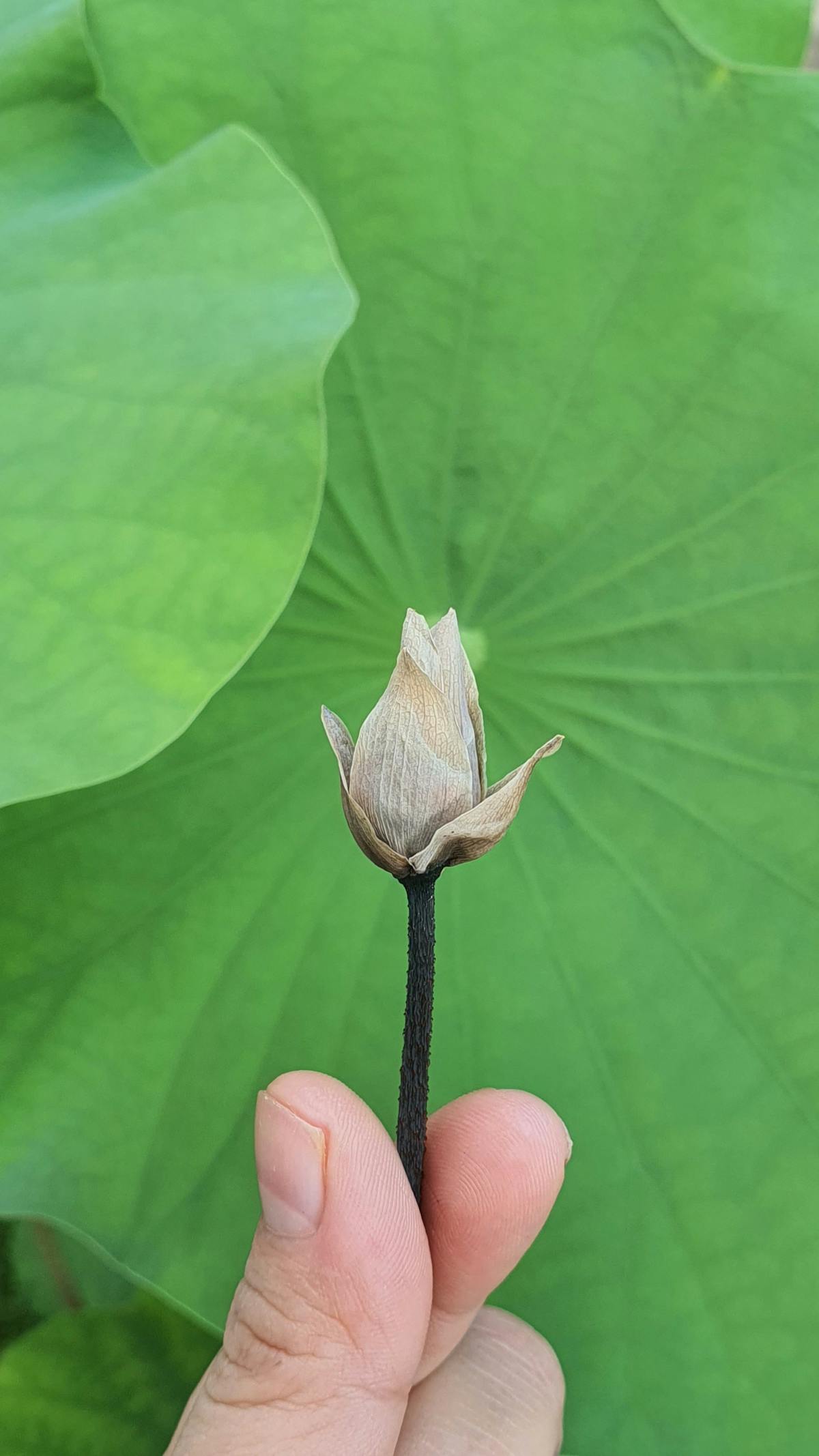 Hype o Humo? 3 Cosas que Tu Empresa No Te Dijo sobre Cibersegu...