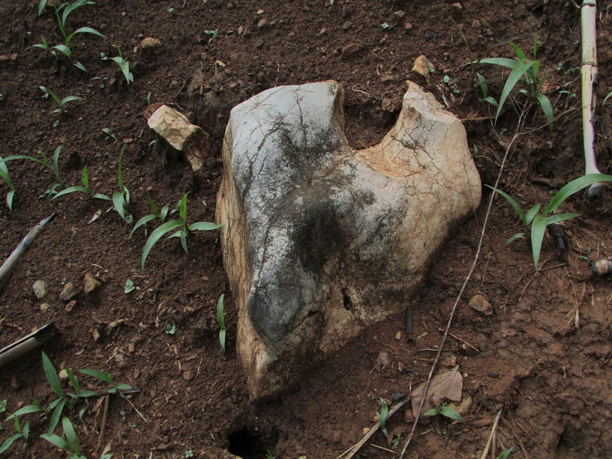 ¡No te pases! ¿PS5 Pro o PS6? 🤯 Ojo aquí: la pregunta de ...