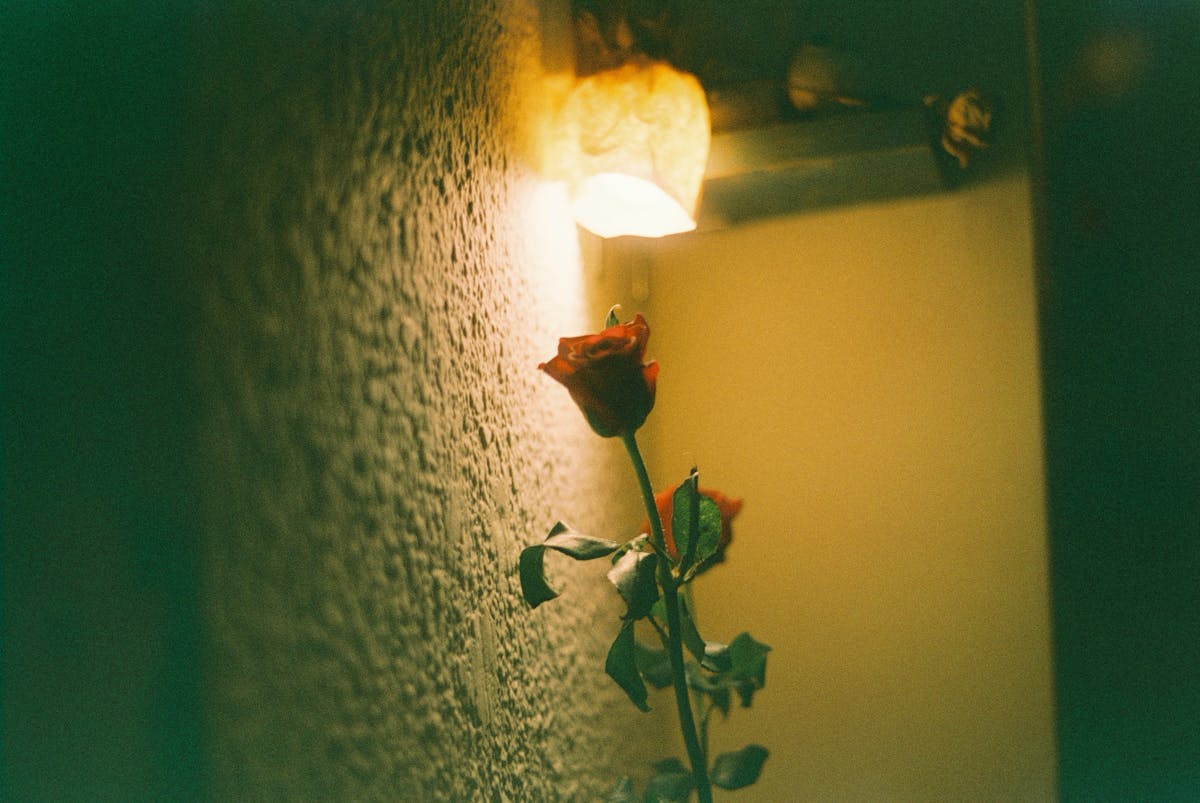 ¿Cómo se Supone que Llegues a Cusco si el Boletín cuesta u...