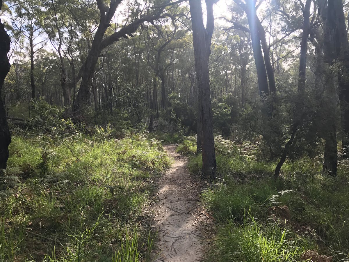 🚩 #ElMalito Le Puso el Dedo a la Mochila de [Nombre del Ca...