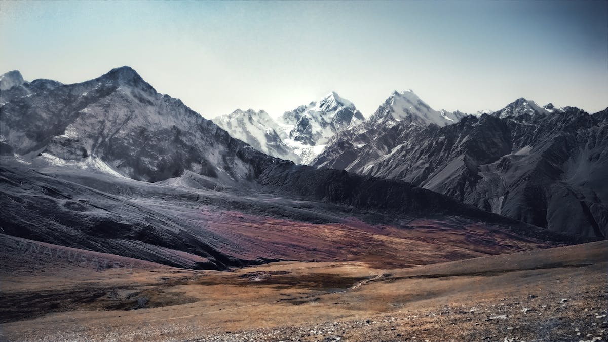 ¿Este pollo a la crema es el futuro de la comida rápida o ...