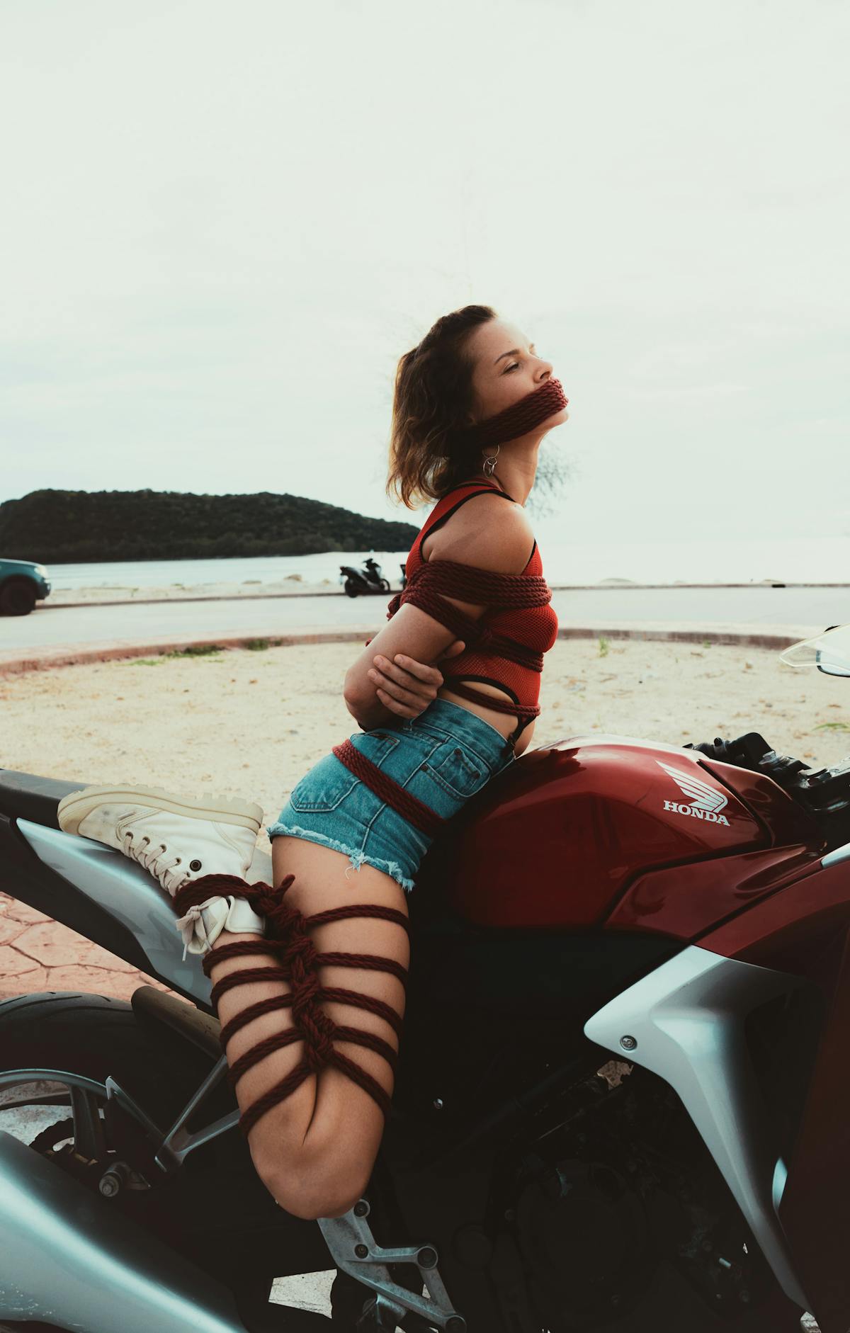 ¿Washington Se Derrumba por la Ciberseguridad de los Tulipan...