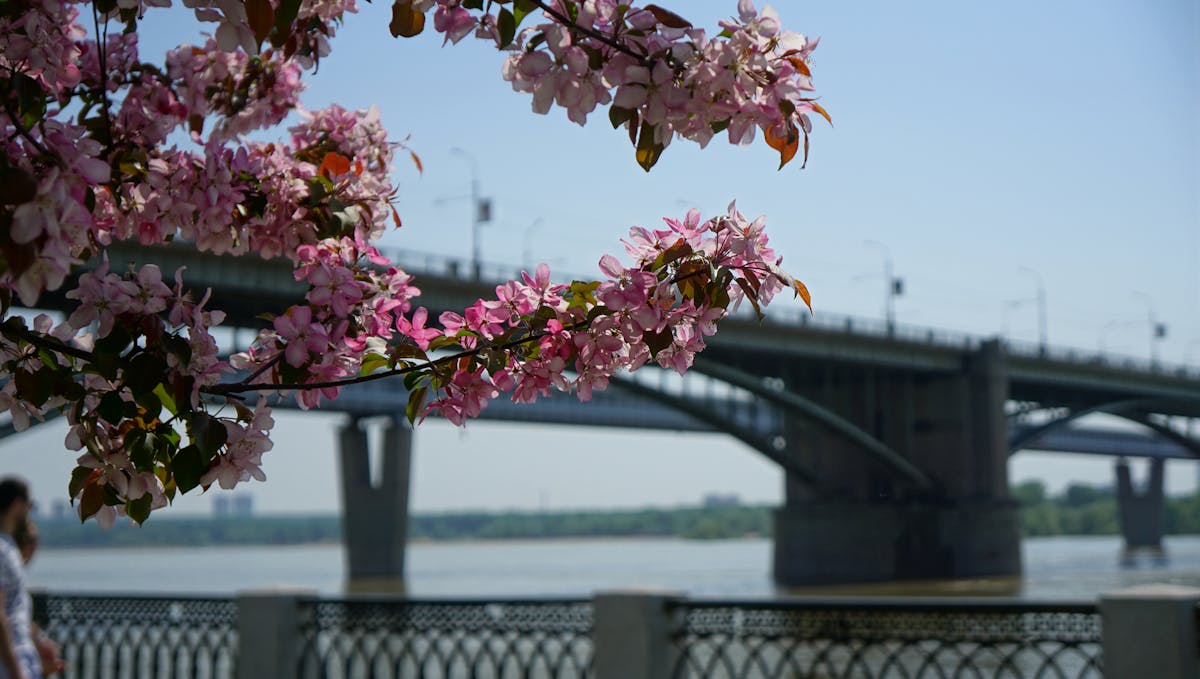 🚩 ¿Te Pagan de Verdad o Solo les Dices que Sí?
